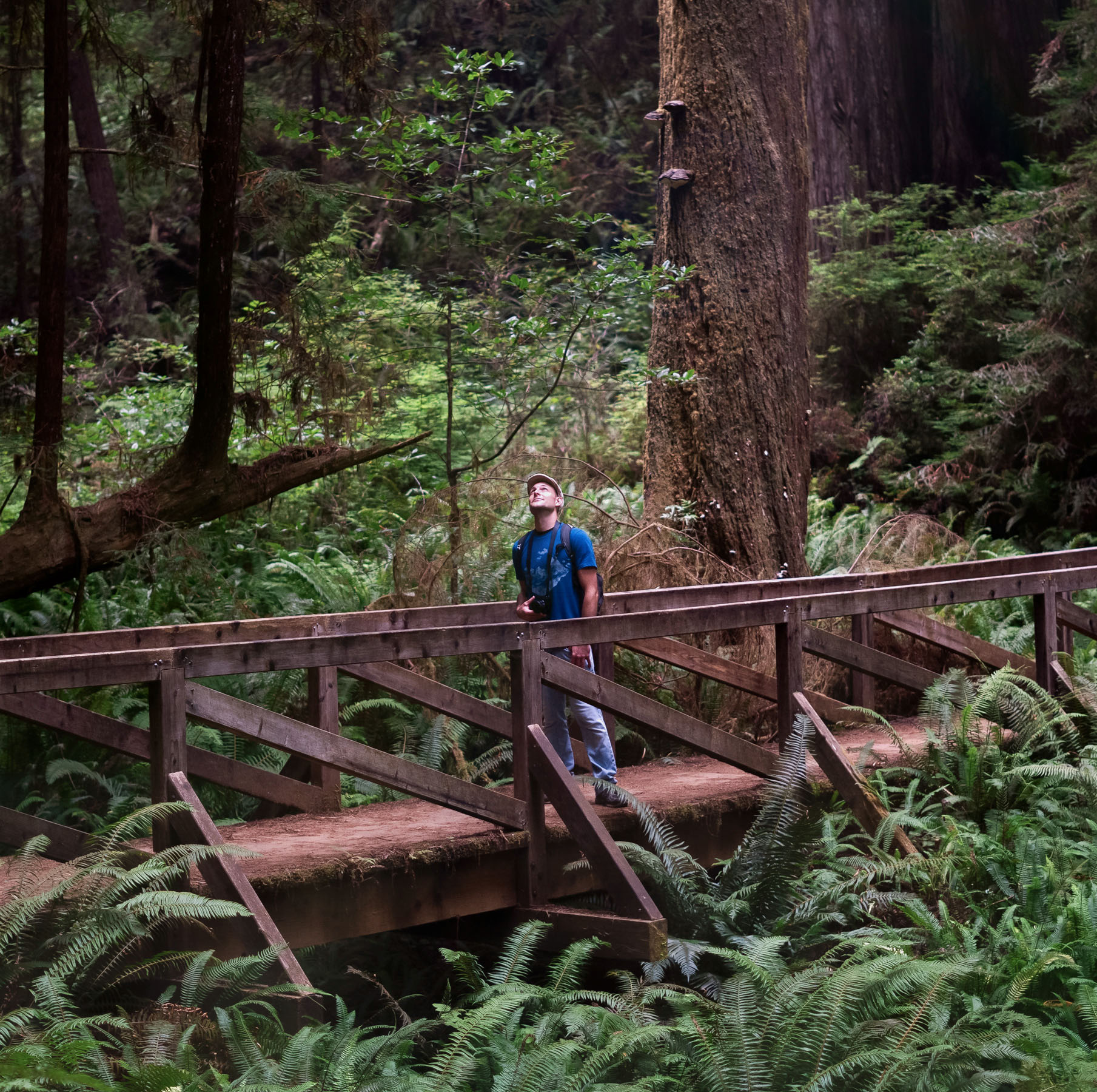 Man Standing In Forest